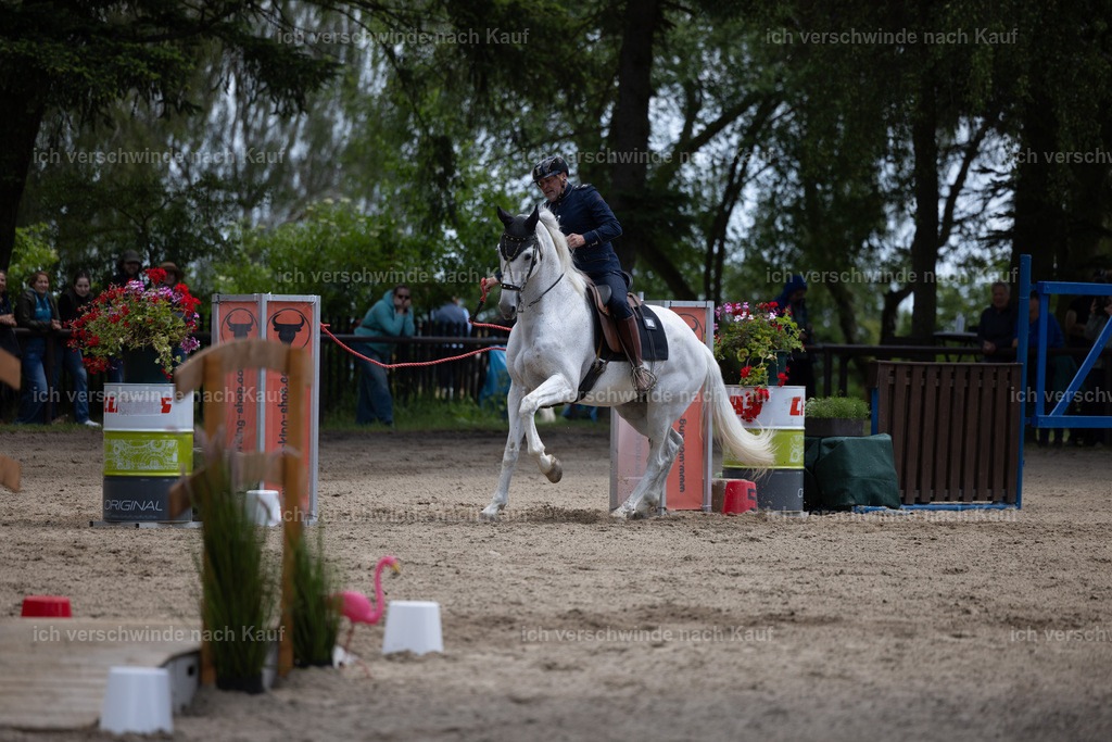 Masterclass_stoibphotography_C2_C8665.CR3 | working equitationturnier fotograf videograf stoibphotography marixx film working equitation deutschland reitsport turnierfotografie eventfotografie equestrian events