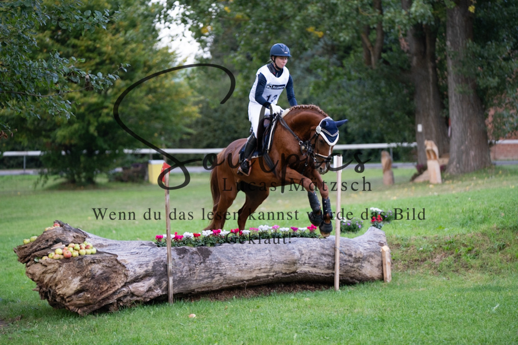 A7V02972 | Turnier/Reitfotograf