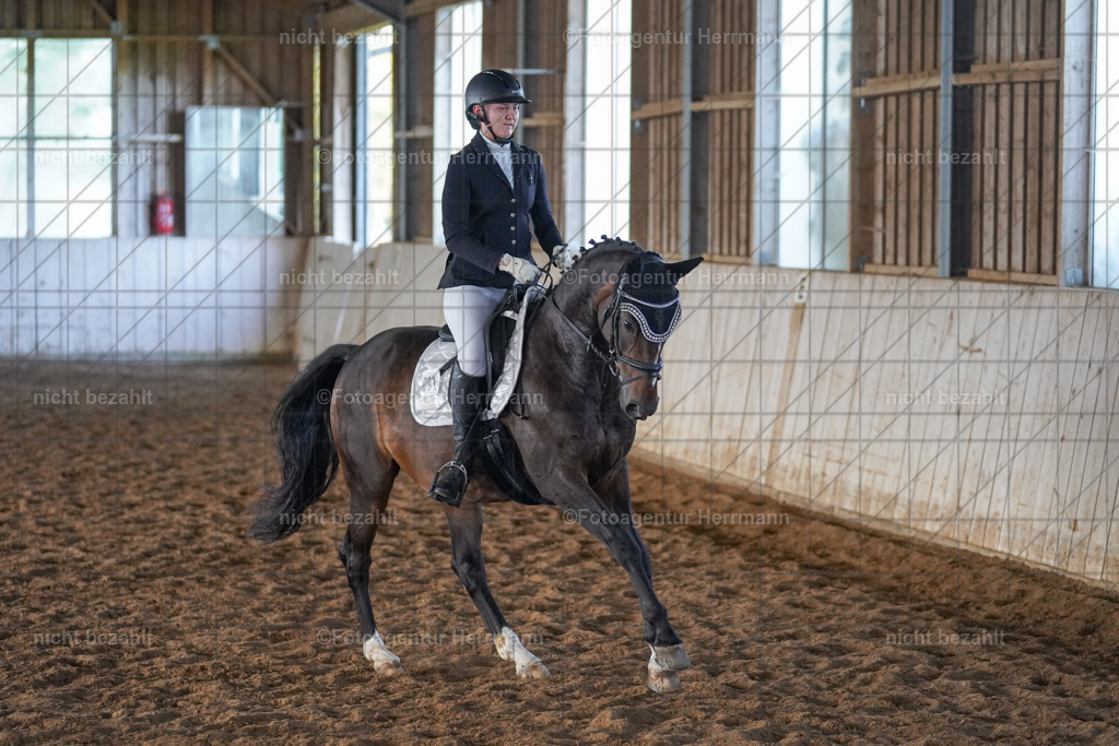 20230917-FAH09998 | Landsberg am Lech, 2023, Kaufbeuren, Kempten, Allgäu, Turnierfotografen Bayern, Fotoagentur Herrmann, Turnierbilder, Reitsport Fotos, Pferdefotograf, Augsburg, Bad Tölz, Dachau, Karlsfeld, Memmingen, Buchloe, Schwabmünchen