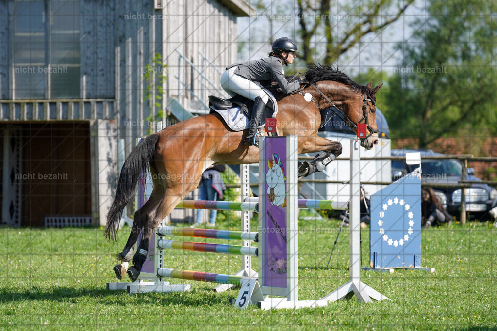 20240509-FAH02995 | Fotos von dem Turnier in Bayern, Landsberg am Lech, Reitsportbilder, Turnierfotografen Bayern, Fotoagentur Herrmann, Springreiten, Reitsportfotograf, Pferdefotograf, Turnierbilder