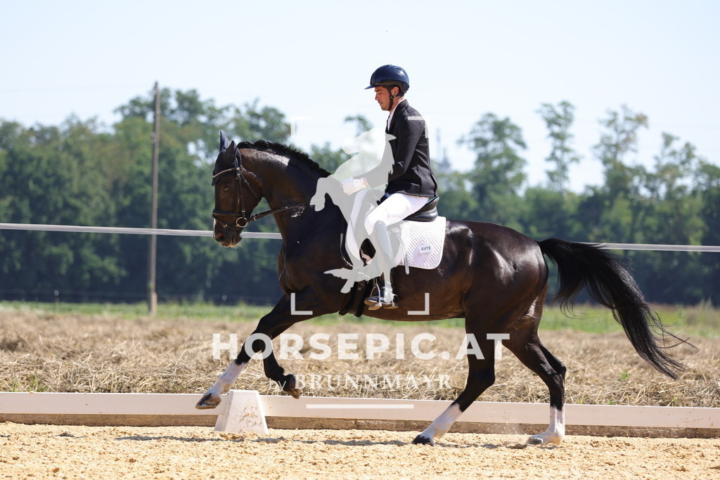 0P6A7616 | Willkommen bei Brunnmayr - Design & Fotografie – Ihrem Spezialisten für Reitturniere und Pferdeveranstaltungen in Oberösterreich, Salzburg und Bayern! Seit über 17 Jahren sind wir leidenschaftlich dabei.