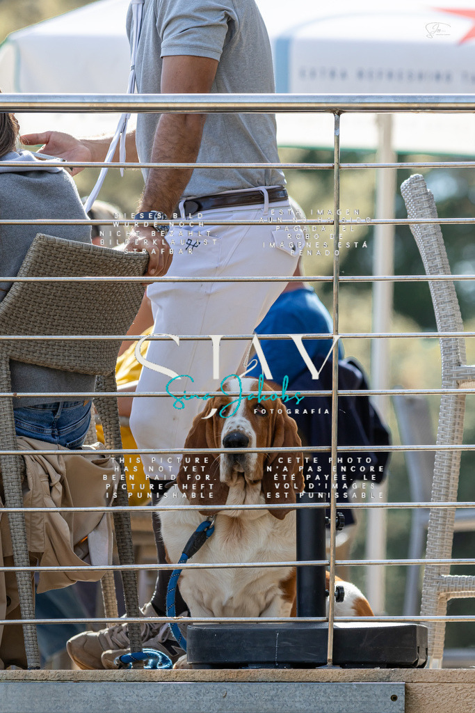 IMG_0497 | s-jay-photography - Realisiert mit Pictrs.com