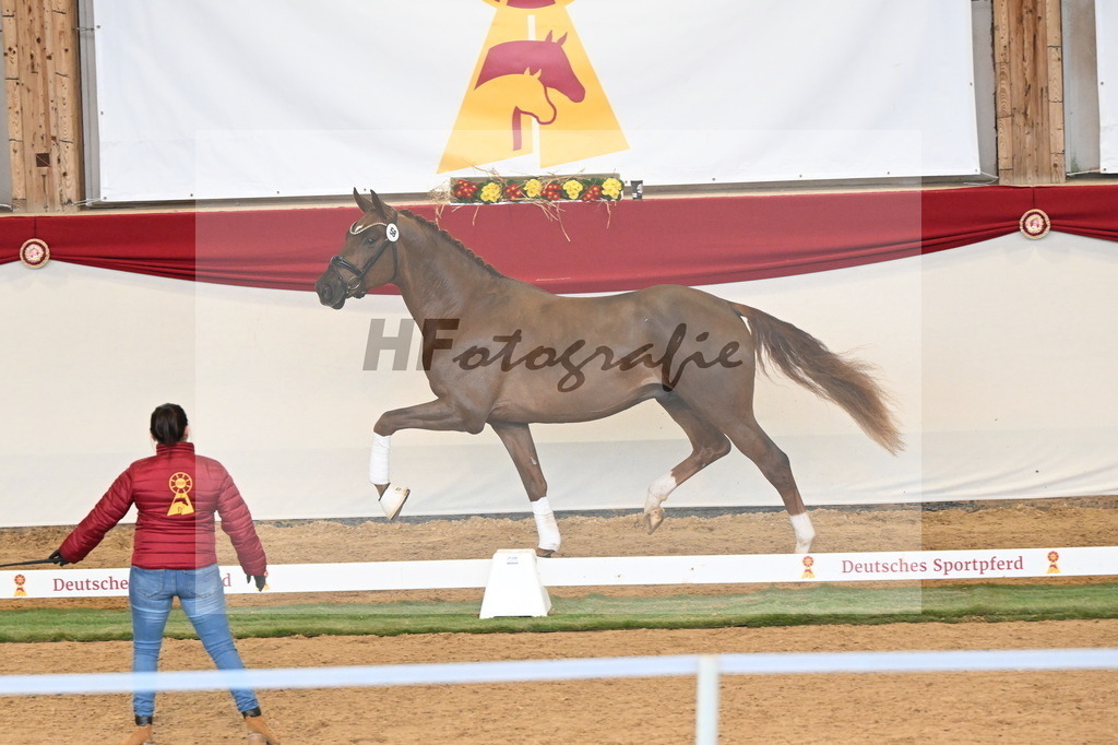 Kat.-Nr. 58 v. Filox_Rothenberger_3260641 | hf-fotografie - Realizzato con Pictrs.com