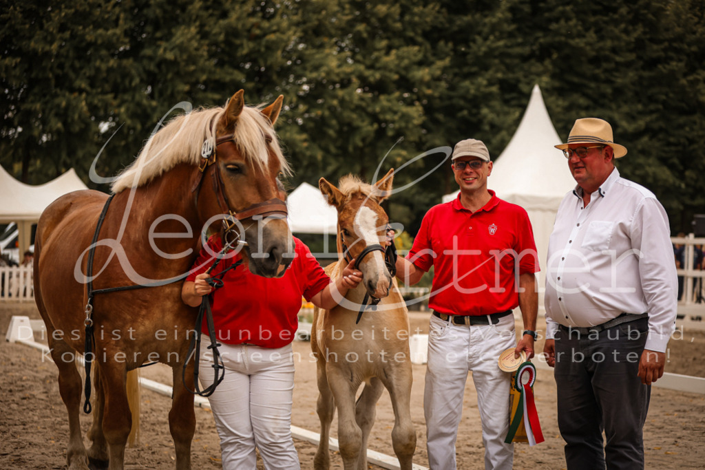 SaHF00119 | Leoni Ertmer Photography - Realisiert mit Pictrs.com