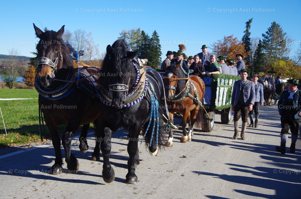 IMGP8435 | fotografiert von Axel PollmannLeonhardi Wallfahrt Benediktbeuern und Murnau, Fronleichnam, Fasching, Landschaft im Loisachtal und Benediktbeuern  - Realisiert mit Pictrs.com