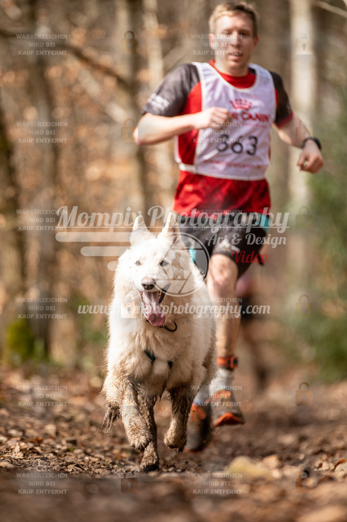 SPA_2023_DIM_CCK-193 | PayLife