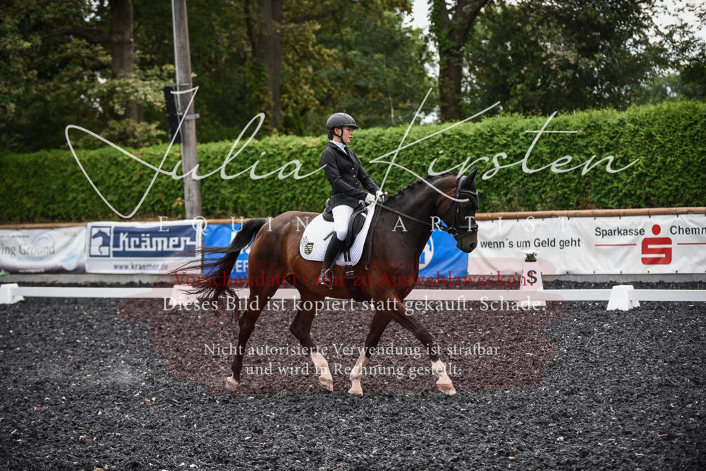 DSC_4551 | Pferde- und Turnierfotografie in Westsachsen. Pferdeportraits, Auftragszeichnungen und intuitive Kunst.