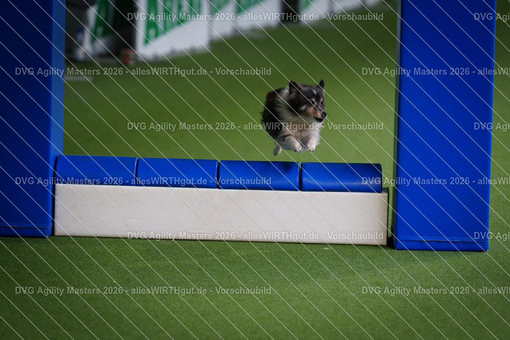 allesWIRTHgut_Tierfotografie-DVG_Agility_Masters_2026-12_34-7R508680 | Professionelle Tierfotografie in Mönchengladbach von Daniel Wirth (allesWIRTHgut). Liebevolle & natürliche Bilder von Hunden & Katzen für unvergessliche Erinnerungen.