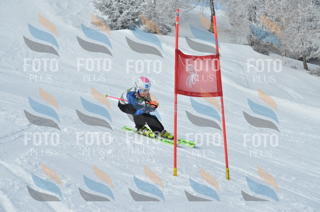 D8652 | holidayphoto