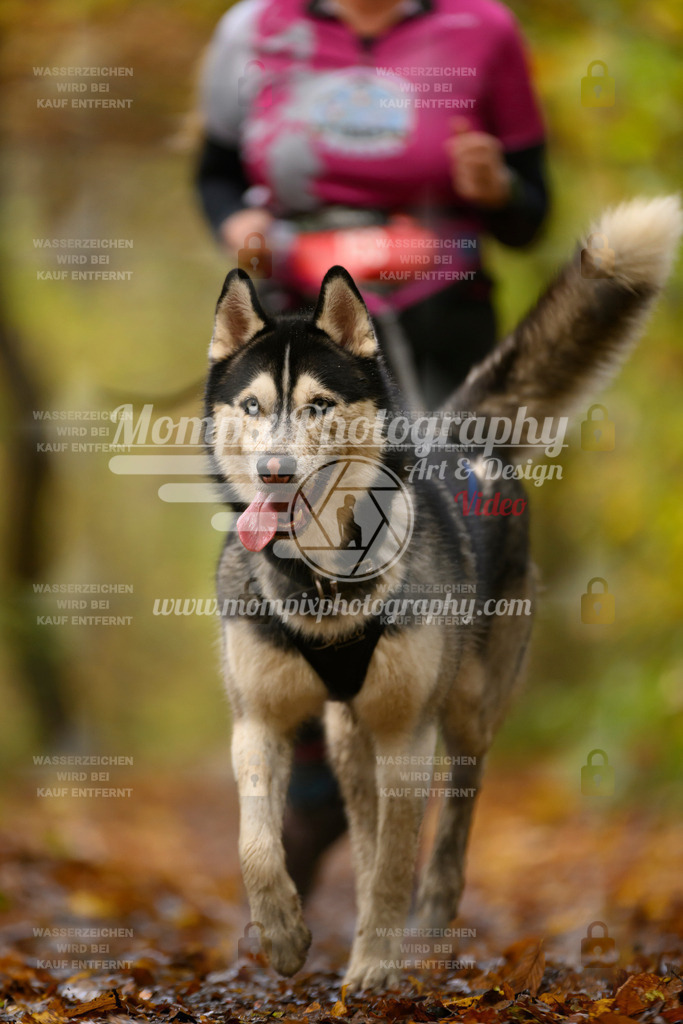 MompixPhotography_CD7S_DI_CCL-181 | mompixphotography