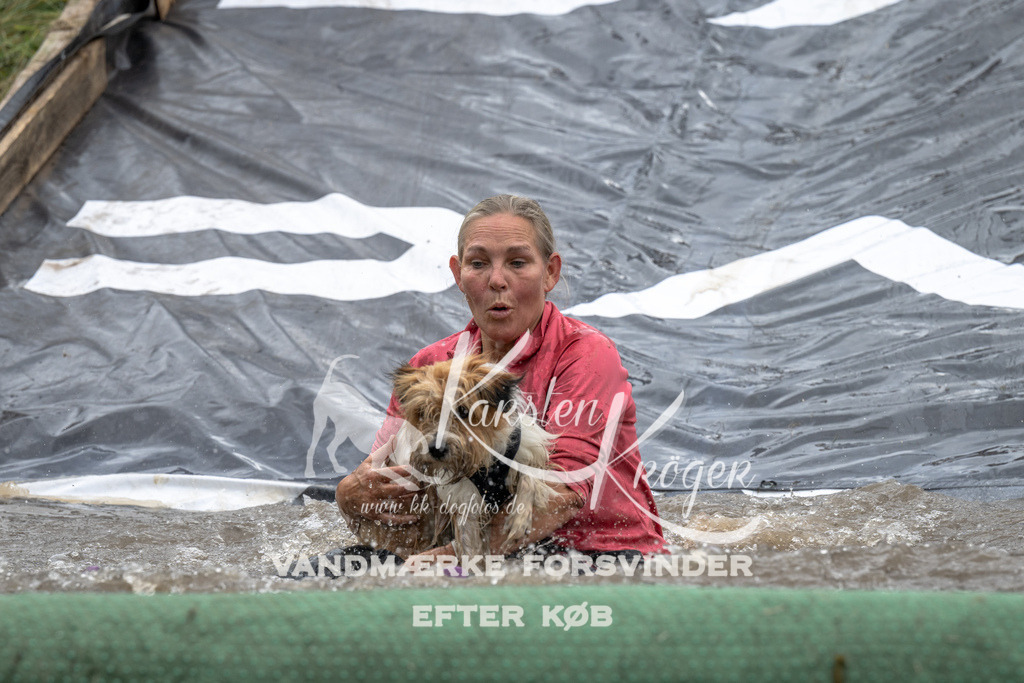 1525_ZZ93231 | kk-dogfotos