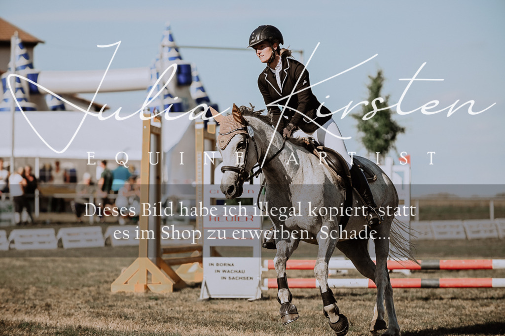 DSC_9506 | Pferde- und Turnierfotografie in Westsachsen. Pferdeportraits, Auftragszeichnungen und intuitive Kunst.