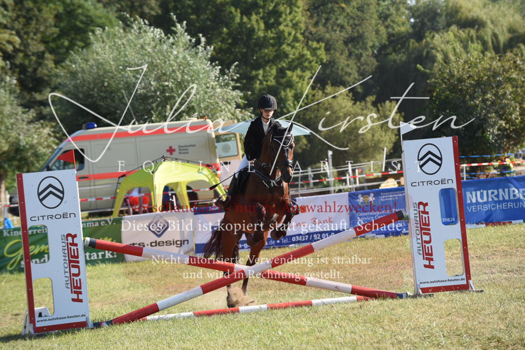 DSC_5577 | Pferde- und Turnierfotografie in Westsachsen. Pferdeportraits, Auftragszeichnungen und intuitive Kunst.