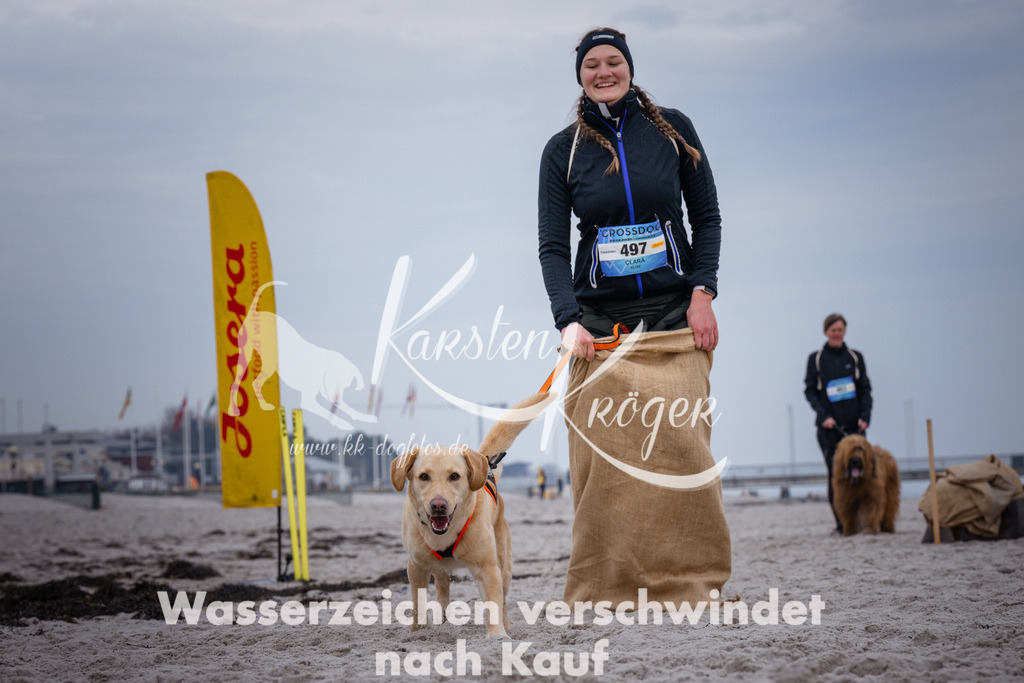 1213_ZZ92695 | kk-dogfotos