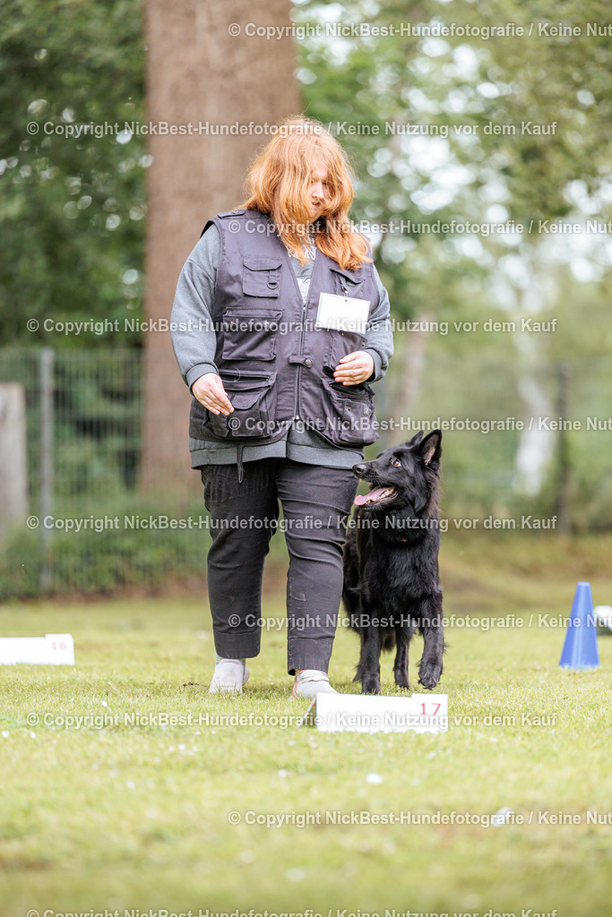 RO-Blumenthal-2026-Nickbest-Hundefotografie-3341 | Dein Hund! Dein Moment! Deine Erinnerungen! Hundefotografie in Bremen Blumenthal. Ich fange die besonderen Momente deines Vierbeiners ein – ob Indoor mit Blitzanlage oder in der freien Natur. Sicher dir dein Moment und dein Termin für eure Erinnerungen.
