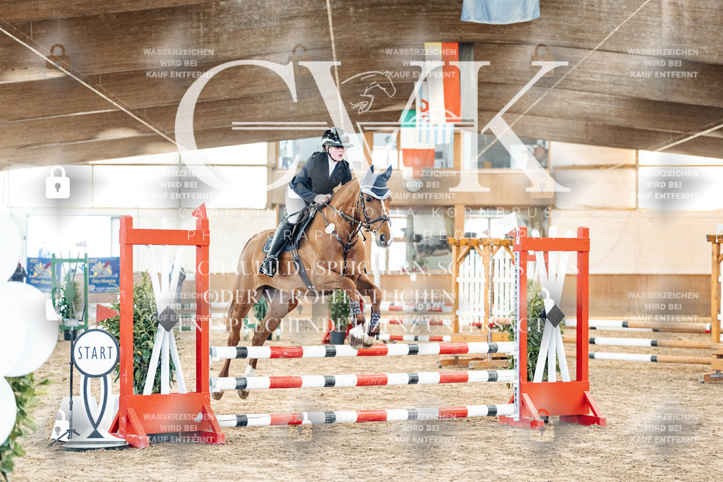 CK903732 | Turnierfotografie Pferdefotografie Trier Rheinland-Pfalz Pferdesport Reitsport Tierfotografie Sportfotografie Pferdevideo Pferdevideografie Equestrianvideography equestrianphotography  - Realized with Pictrs.com