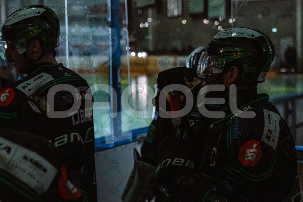 Alligators_vs_Passau_03_12_2025-08 | Höchstadt Alligators Fotogalerie: Eishockey-Action aus Franken. Professionelle Spielfotos, Portraits & Stadionbilder zum Download. Jetzt entdecken! - Realized with Pictrs.com