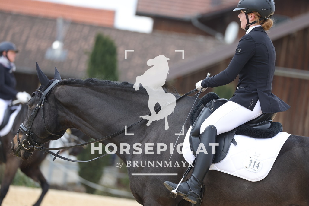 0P6A7086 | Willkommen bei Brunnmayr - Design & Fotografie – Ihrem Spezialisten für Reitturniere und Pferdeveranstaltungen in Oberösterreich, Salzburg und Bayern! Seit über 17 Jahren sind wir leidenschaftlich dabei.
