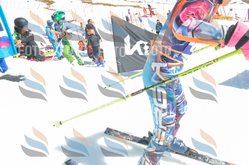 _ELE6181 | holidayphoto