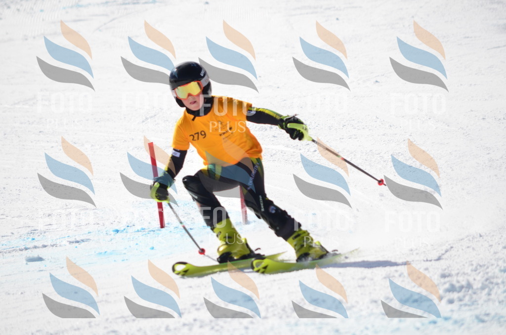 C8630 | holidayphoto