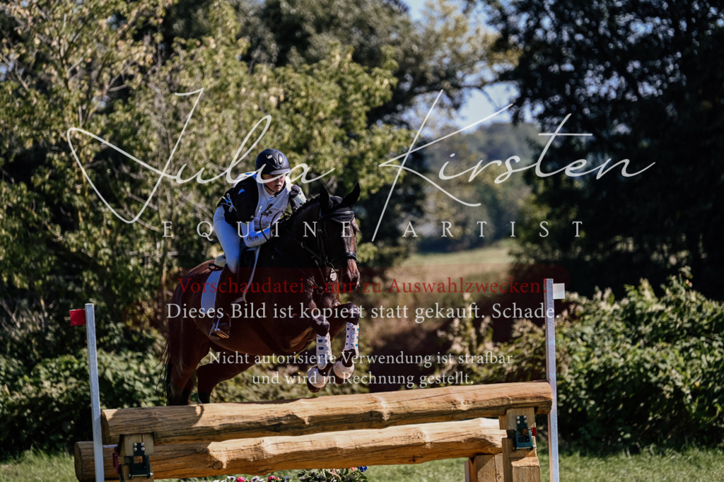 DSC_1475 | Pferde- und Turnierfotografie in Westsachsen. Pferdeportraits, Auftragszeichnungen und intuitive Kunst.