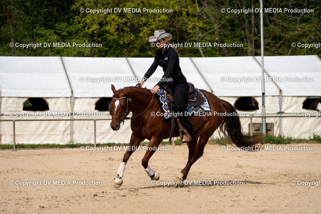 Heiligenwald Tag 3-633 | dv-media-shop - Realisiert mit Pictrs.com