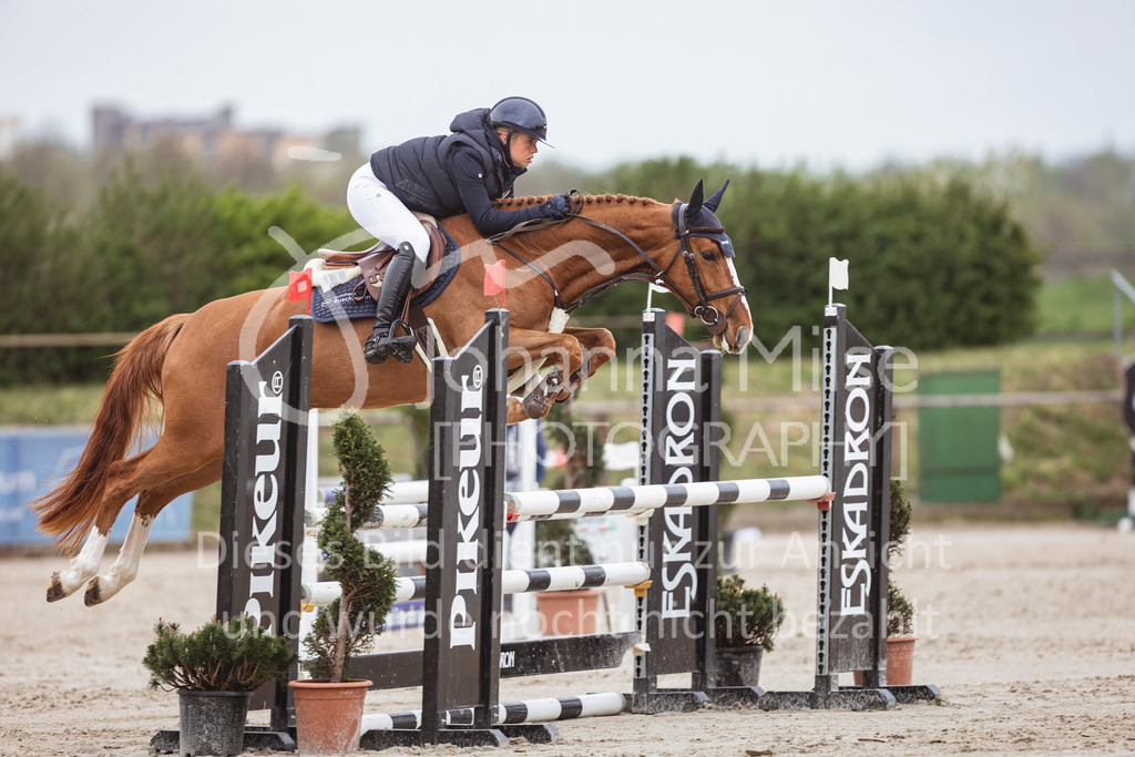 250417_Springpferde-A1-130 | Deine schönsten Turniermomente als professionelle Fotos! Entdecke hochwertige Pferdesport-Fotografie im Online-Shop. Jetzt Fotos finden & bestellen!