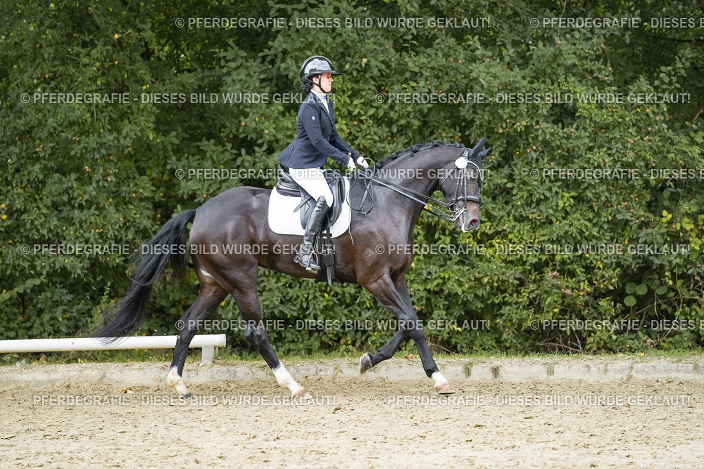 DSC06973 | Pferdegrafie