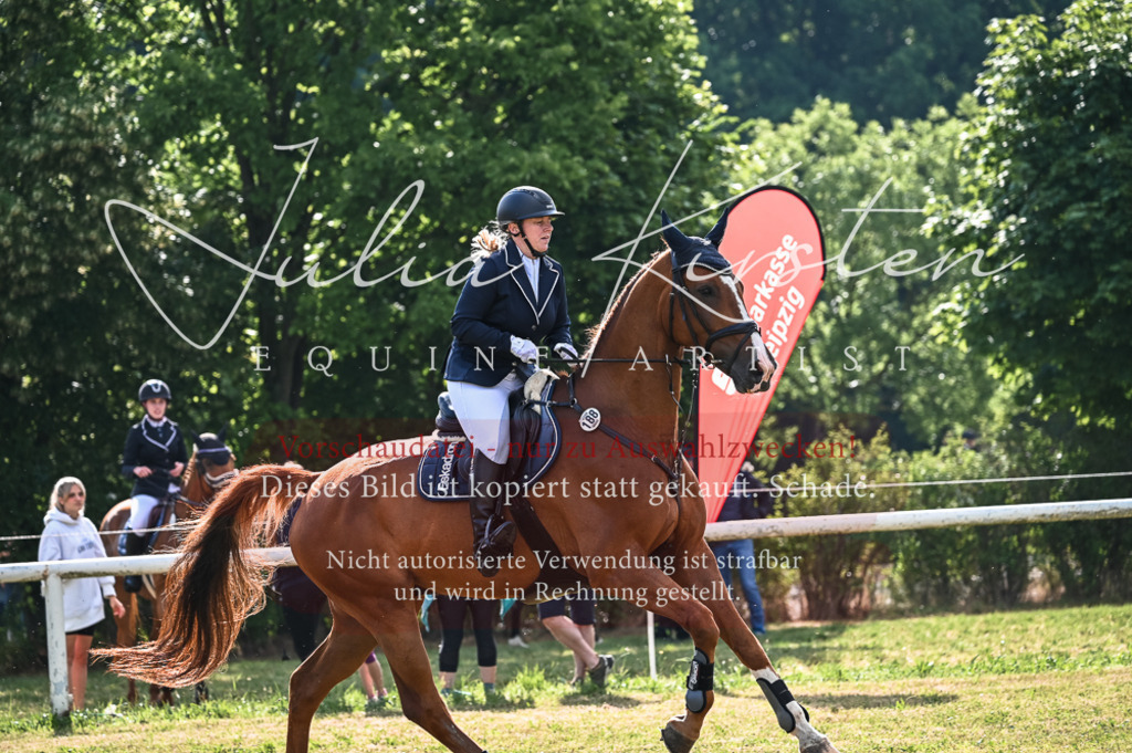 DSC_7754 | Pferde- und Turnierfotografie in Westsachsen. Pferdeportraits, Auftragszeichnungen und intuitive Kunst.
