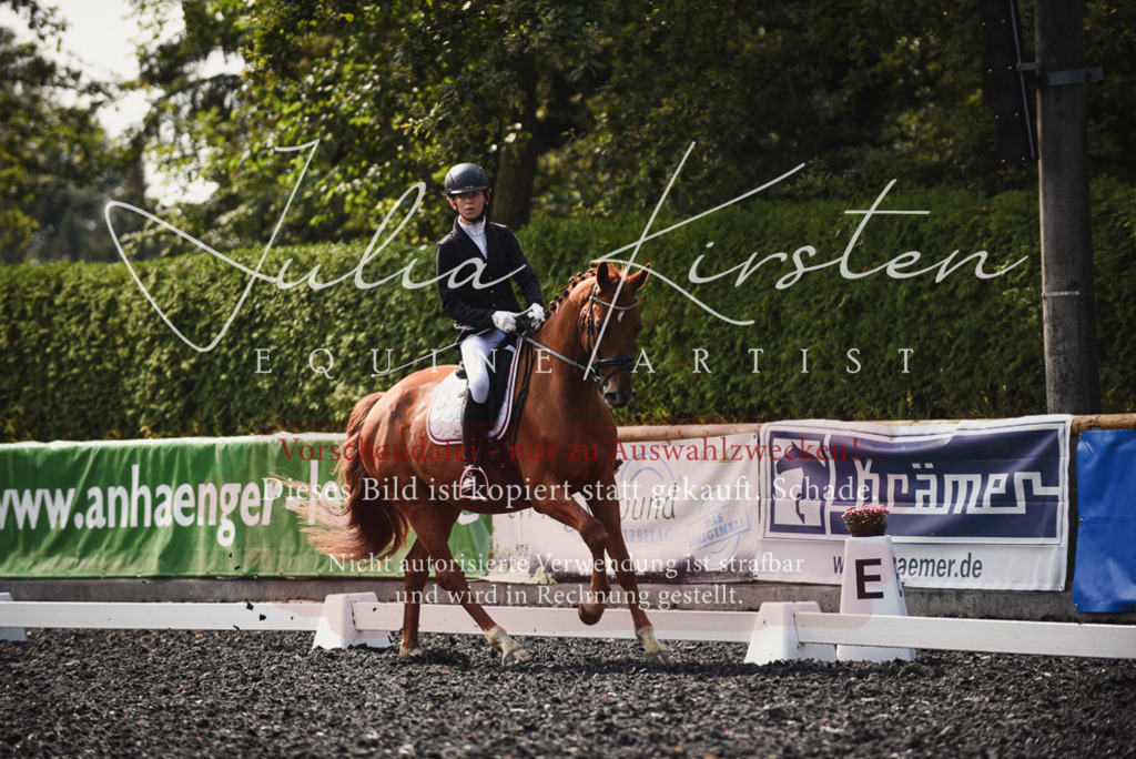 DSC_3598 | Pferde- und Turnierfotografie in Westsachsen. Pferdeportraits, Auftragszeichnungen und intuitive Kunst.