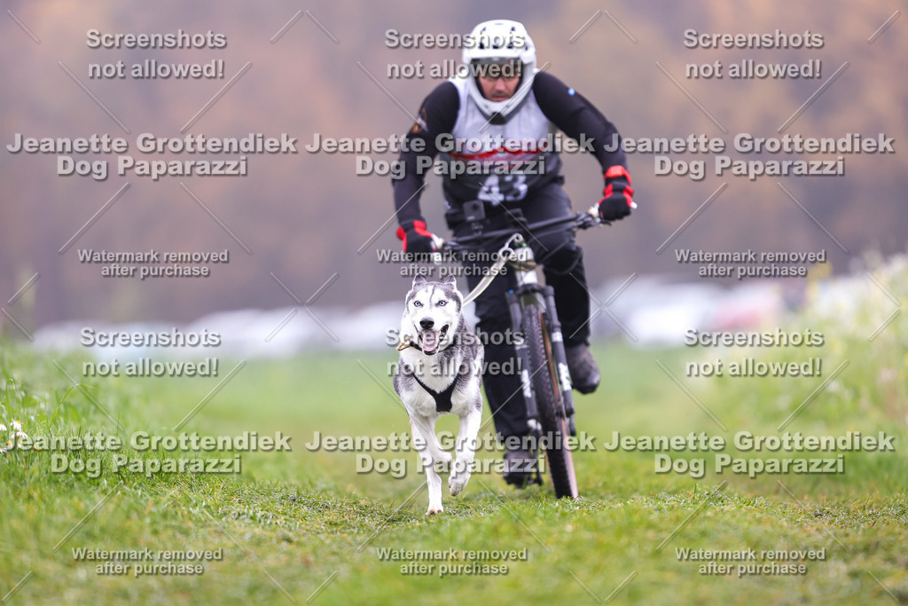 Dog Paparazzi - Visbeck 25 -194 | Dog Paparazzi Jeanette Grottendiek Fotografie & Videografie - Realisiert mit Pictrs.com