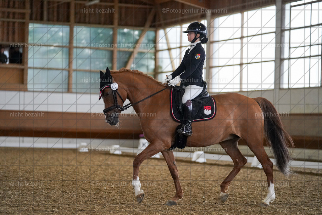 20240825-FAH09152 | Turnierbilder, Reitsportfotos, LAPO, Landesponyturnier, Turnierfotografen Bayern