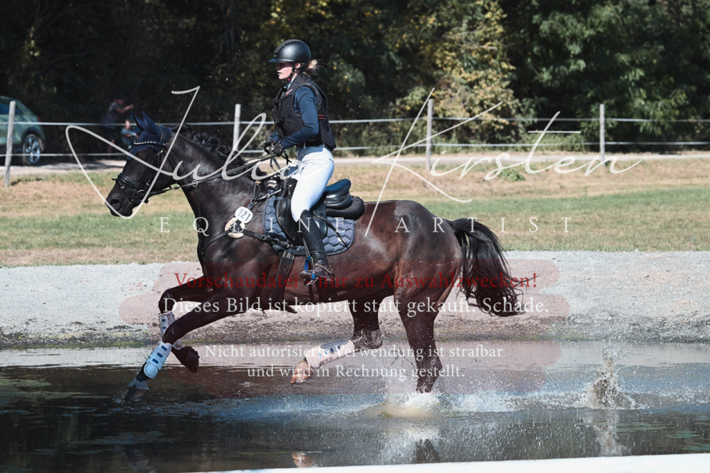 DSC_8587 | Pferde- und Turnierfotografie in Westsachsen. Pferdeportraits, Auftragszeichnungen und intuitive Kunst.