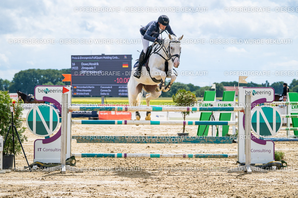 DSC05615 | Pferdegrafie