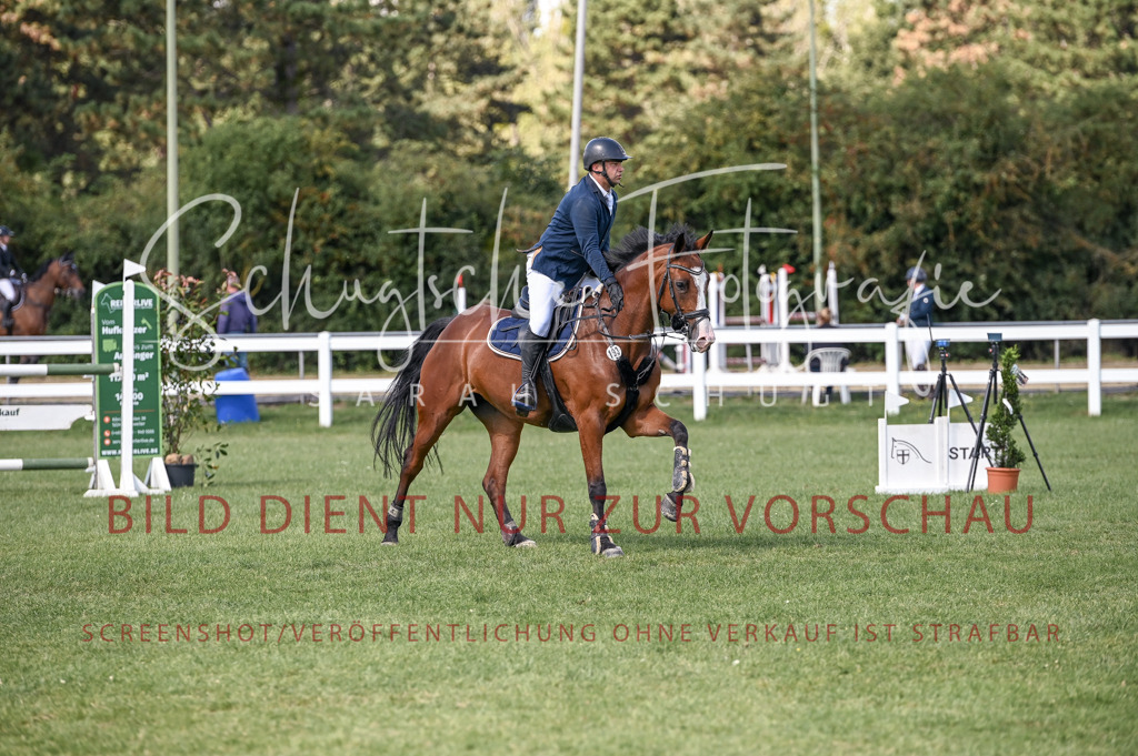 Schugtsche-Düren.2024-09.Springprf.L-171 | Schugtsche Fotografie - Realisiert mit Pictrs.com