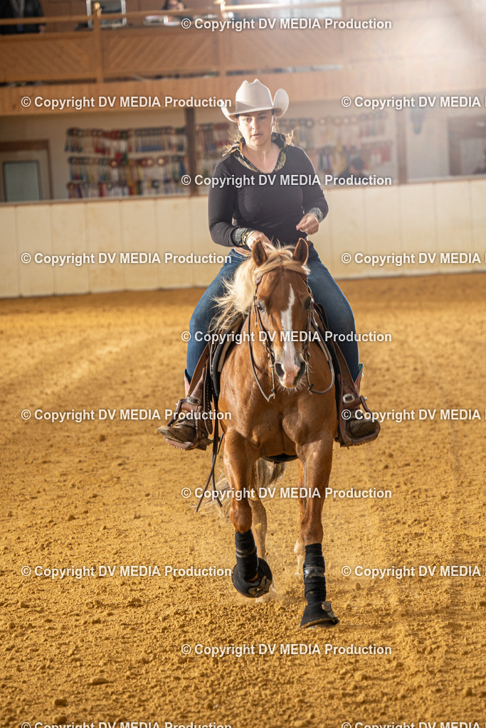 MIT00619 | dv-media-shop - Realisiert mit Pictrs.com