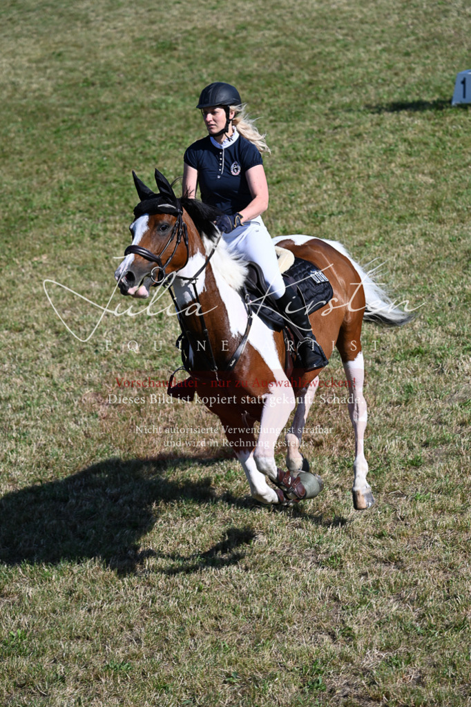 DSC_2390 | Pferde- und Turnierfotografie in Westsachsen. Pferdeportraits, Auftragszeichnungen und intuitive Kunst.