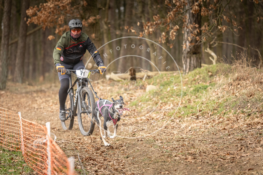 Pfotenfotografie_DV3A3476 | Hundefotografie, Tierfotograf, Pfotenfotografie, Fotoshooting Hund, Hunde Portrait, Hundesport, Hundeportraits, Heideshooting, Hunde, Sportfotograf, Hundefotograf, Turnierhundsport, THS,  - Realisiert mit Pictrs.com