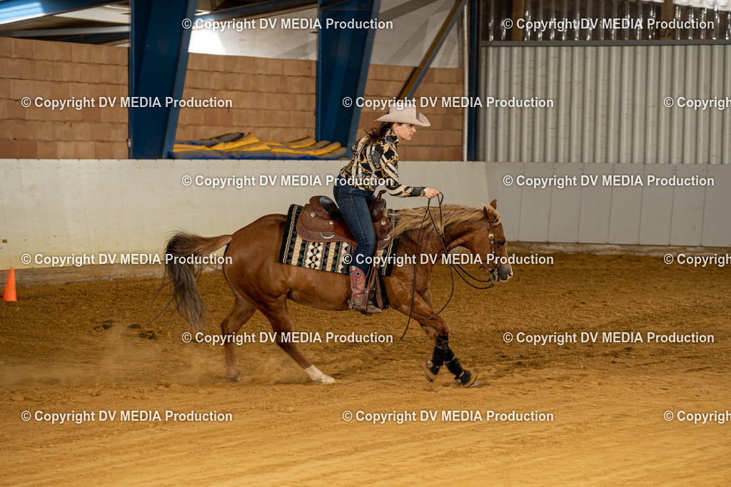 MIT00248 | dv-media-shop - Realisiert mit Pictrs.com