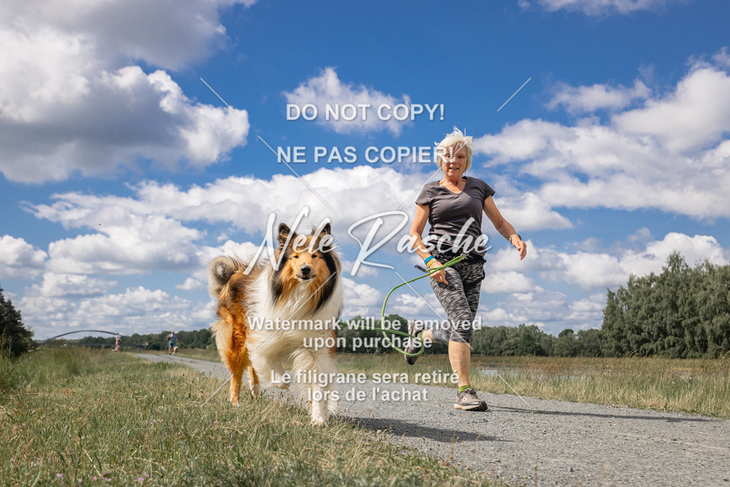 nelerasche_BuHu2026_SaCC1100-1200_07 | nelerasche