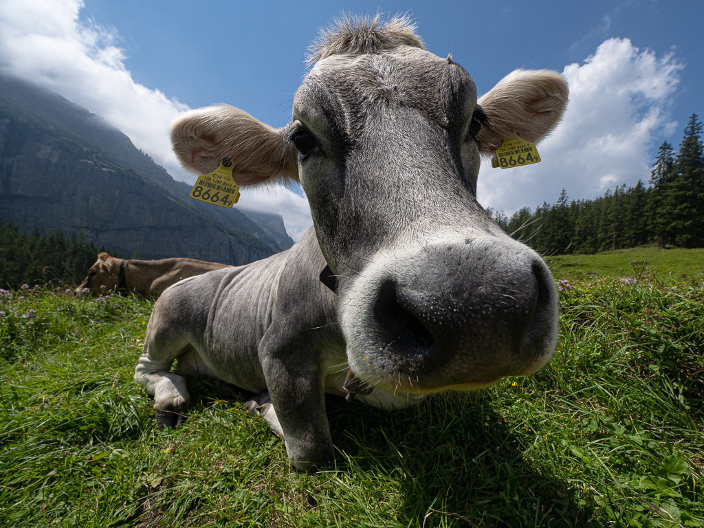 P7280231 | Carismarkus, Fotografie, Lost Places, Urbex, Stilvoll, Akt, Nude, Fine Arts, Adventure, Beauty in decay - Realisiert mit Pictrs.com