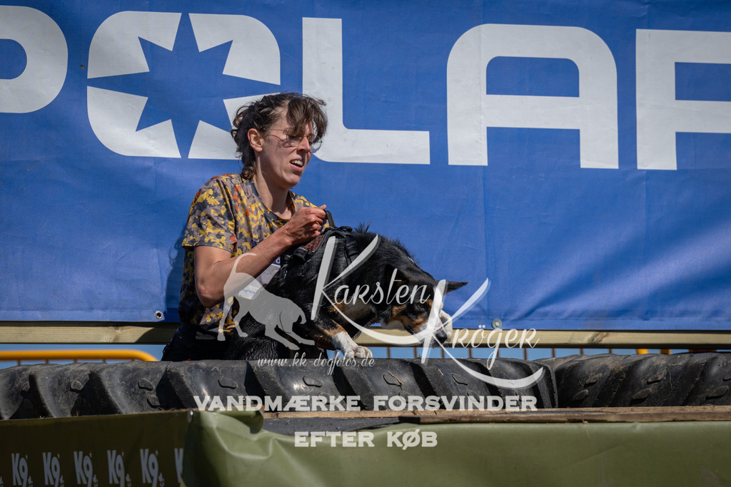 1242_ZZ96223 | kk-dogfotos