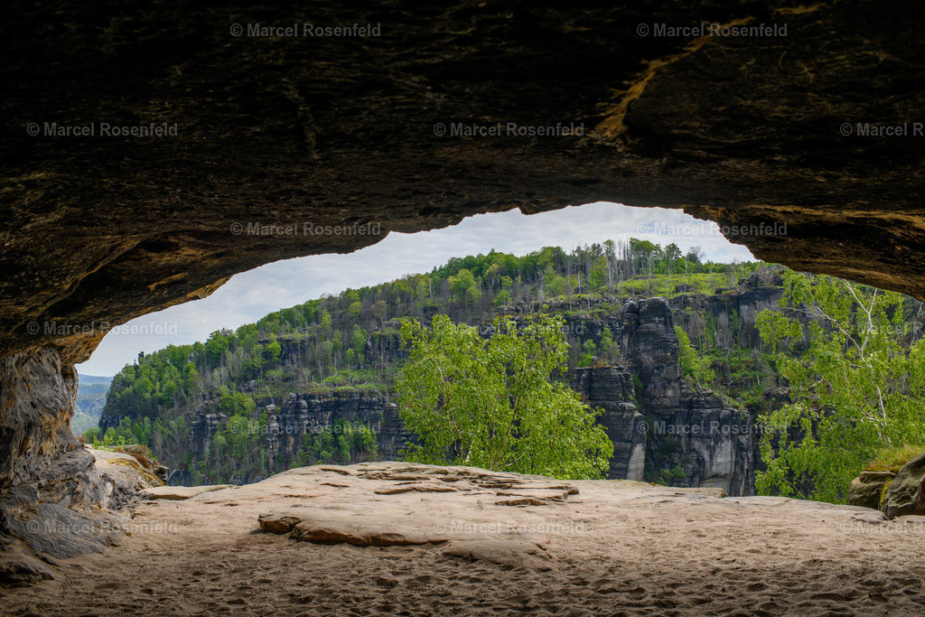 _DSC5000 | foto-rosenfeld