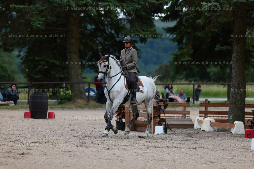 Masterclass_stoibphotography_C2_L6652.JPG | working equitationturnier fotograf videograf stoibphotography marixx film working equitation deutschland reitsport turnierfotografie eventfotografie equestrian events