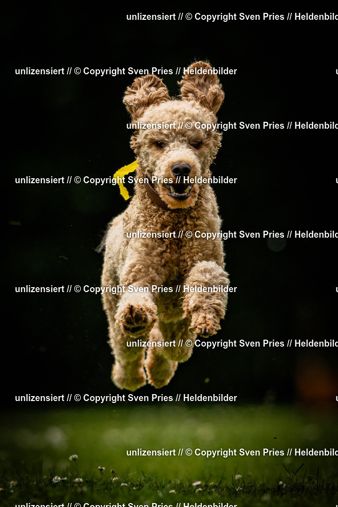 Sven Pries | 2025-05-29 - Pudelrennen KA-Durlach - Realisiert mit Pictrs.com