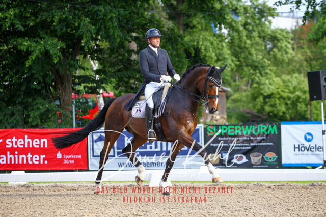 DKP41783 | Turnierfotos kaufen im Webshop von Daniel Kuhl Photography – entdecke professionelle Reitsportfotos aus Turnieren & Events. Hochwertige Turnierbilder online bestellen & sichern. Jetzt Fotos von Reitsportturnieren kaufen!