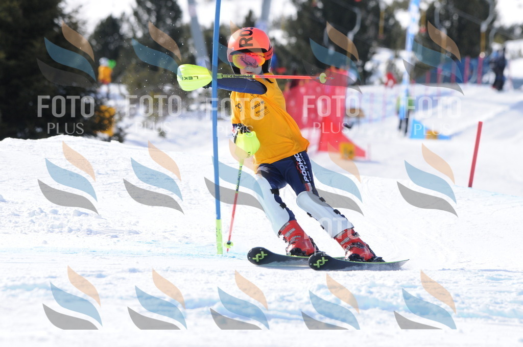 C7253 | holidayphoto