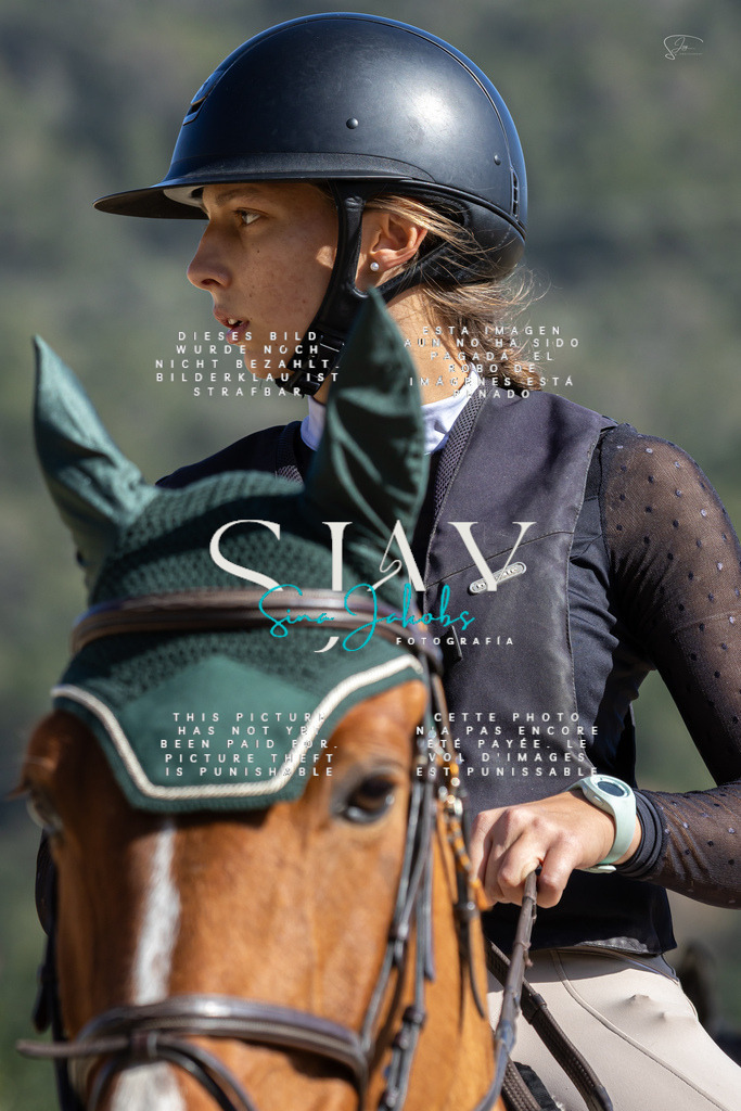 IMG_6500 | s-jay-photography - Realisiert mit Pictrs.com