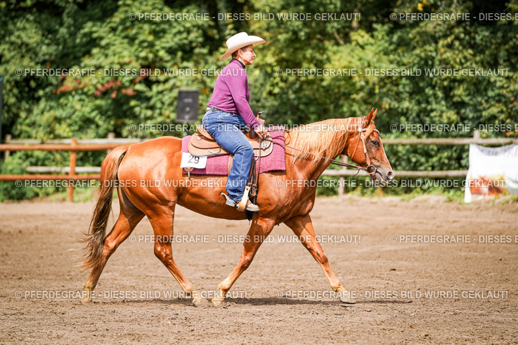 DSC07071 | Pferdegrafie