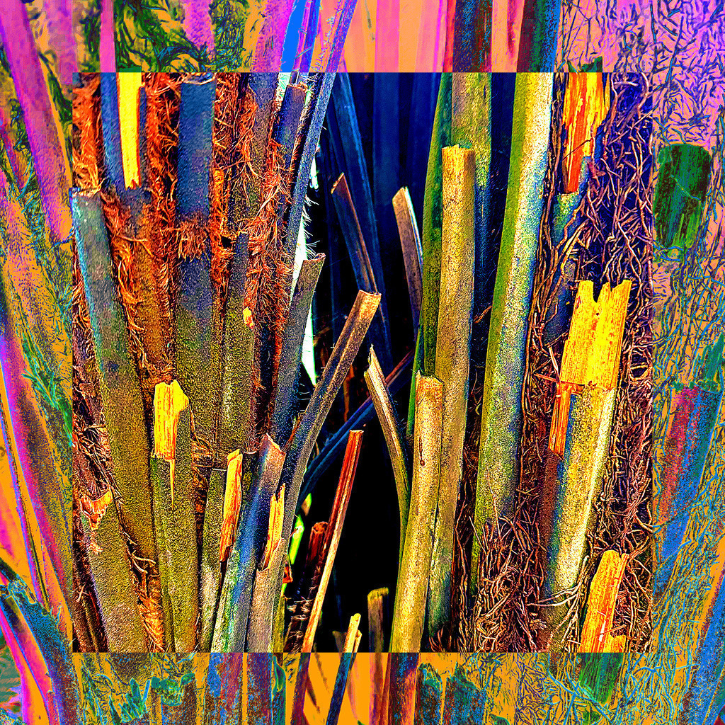 Bunte Texturen | Dieses außergewöhnliche Fotokunstwerk fängt die faszinierende Struktur und Farbvielfalt eines natürlichen Materials in einer eindrucksvollen, abstrakten Komposition ein. Die lebhaften, intensiv leuchtenden Farben und die vielschichtige Textur laden den Betrachter ein, die Komplexität und Schönheit der Natur auf eine völlig neue Weise zu erleben. Perfekt als Blickfang in modernen Wohn- oder Arbeitsräumen, verbindet dieses Meisterwerk künstlerische Ausdruckskraft mit hochwertiger Druckqualität. - Realisiert mit Pictrs.com
